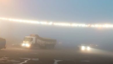 مهگرفتگی در گردنههای استان فارس تردد را دشوار کرد / اخبار فارس - اخبار استانها