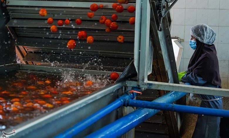 جای خالی صنایع تبدیلی در محصولات راهبردی/590 واحد جدید در گلستان ایجاد میشود / اخبار گلستان - اخبار استانها