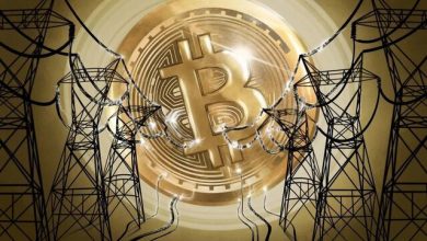 استخراج غیرقانونی رمزارز؛ شبکه برق کشور قربانی مصرف بیرویه / استخراج رمزارز , ماینر غیرمجاز , شبکه برق , وزارت نیرو , توانیر