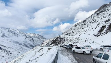 فارس در محاصره باران و برف/ هشدار مدیریت بحران برای بارشهای سیلآسا تا 230 میلیمتر / اخبار فارس - اخبار استانها