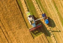 راهاندازی اندیشکده حکمرانی کشاورزی و محیط زیست در دانشگاه علوم کشاورزی خوزستان / اخبار خوزستان - اخبار استانها