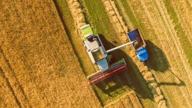 راهاندازی اندیشکده حکمرانی کشاورزی و محیط زیست در دانشگاه علوم کشاورزی خوزستان / اخبار خوزستان - اخبار استانها