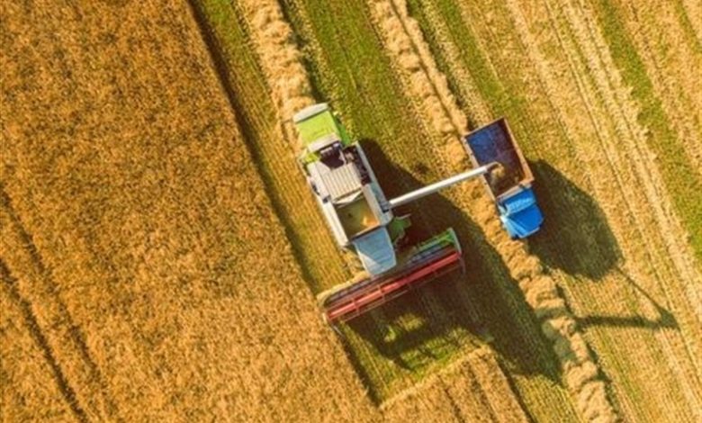 راهاندازی اندیشکده حکمرانی کشاورزی و محیط زیست در دانشگاه علوم کشاورزی خوزستان / اخبار خوزستان - اخبار استانها