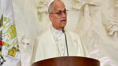 انتقاد پاپ لئو چهاردهم از اظهارات ضداروپایی ترامپ / پاپ لئو چهاردهم , دونالد ترامپ , اروپا , ائتلاف آمریکا و اروپا , اوکراین