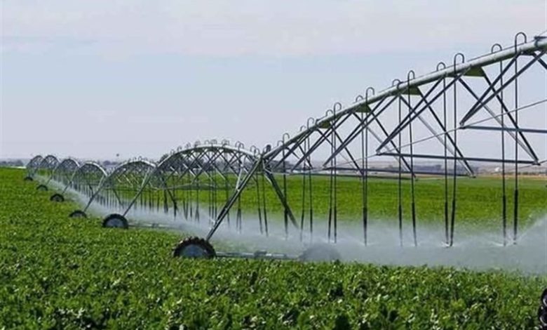 بهرهبرداری از 31 طرح کشاورزی در لرستان تا پایان 1404 / اخبار لرستان - اخبار استانها