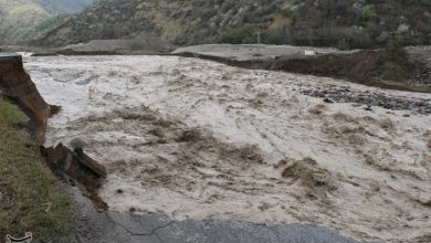 تأکید بر واکنش سریع و بازگشایی معابر اصلی شیراز/ تعطیلی کامل مسابقات ورزشی / اخبار فارس - اخبار استانها