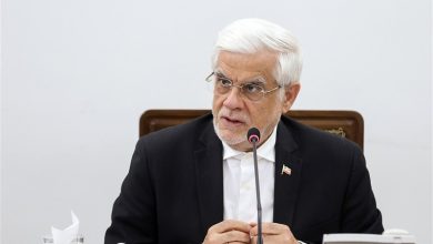 عارف: دانشجویان از روی سوز دل صحبت میکنند / اخبار سیاسی روز , اخبار دولت