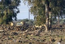 یورش نظامیان صهیونیست به روستای «المشیده» در جنوب سوریه / سوریه , رژیم صهیونیستی , قنیطره , درعا , بازداشت