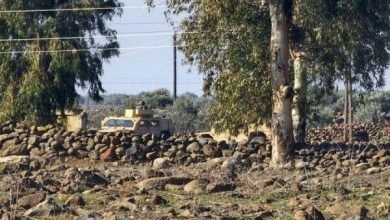 یورش نظامیان صهیونیست به روستای «المشیده» در جنوب سوریه / سوریه , رژیم صهیونیستی , قنیطره , درعا , بازداشت