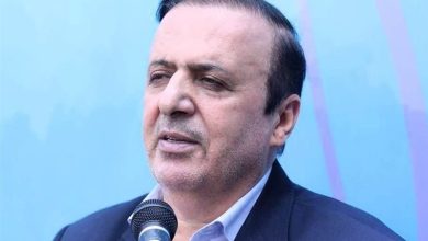 صادرات انگور قزوین به برزیل و روسیه / اخبار قزوین - اخبار استانها