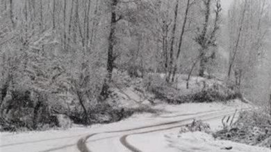 بارش نخستین برف و آزمون ناکام راهداری / مدیریت زمستانی زیر سؤال رفت / اخبار کهگیلویه و بویراحمد - اخبار استانها