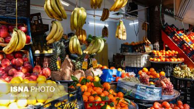 آغاز طرح ویژه تنظیم بازار شب یلدا در استان تهران / تنظیم بازار , شب یلدا , استان تهران , جهاد کشاورزی , کنترل قیمت