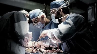 بیمار مرگ‌مغزی شاهرودی با اهدا اعضا به چند بیمار زندگی بخشید / اخبار سمنان - اخبار استانها