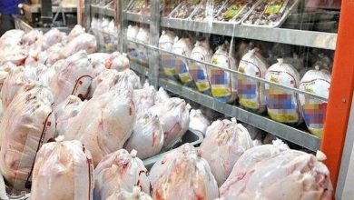 قیمت مصوب مرغ گرم در فارس 155 هزار تومان اعلام شد / اخبار فارس - اخبار استانها