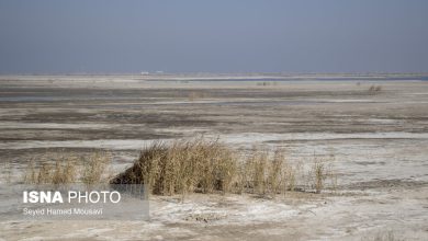 هشدار استاد دانشگاه: ۸۰ درصد تنشهای اجتماعی خوزستان ناشی از مشکلات آب است / خوزستان , مشکلات آب , تنش اجتماعی , محیط زیست , انتقال آب