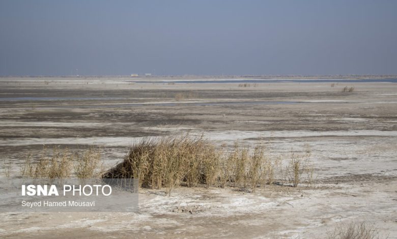 هشدار استاد دانشگاه: ۸۰ درصد تنشهای اجتماعی خوزستان ناشی از مشکلات آب است / خوزستان , مشکلات آب , تنش اجتماعی , محیط زیست , انتقال آب