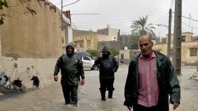 مشکلی در تأمین نان شهرستان قشم وجود ندارد / اخبار جزایر خلیج فارس - اخبار استانها