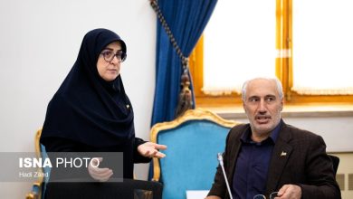 مهاجرانی و پورمحمدی نشست خبری مشترک برگزار میکنند / مهاجرانی , پورمحمدی , بودجه , هیئت دولت , سازمان برنامه و بودجه