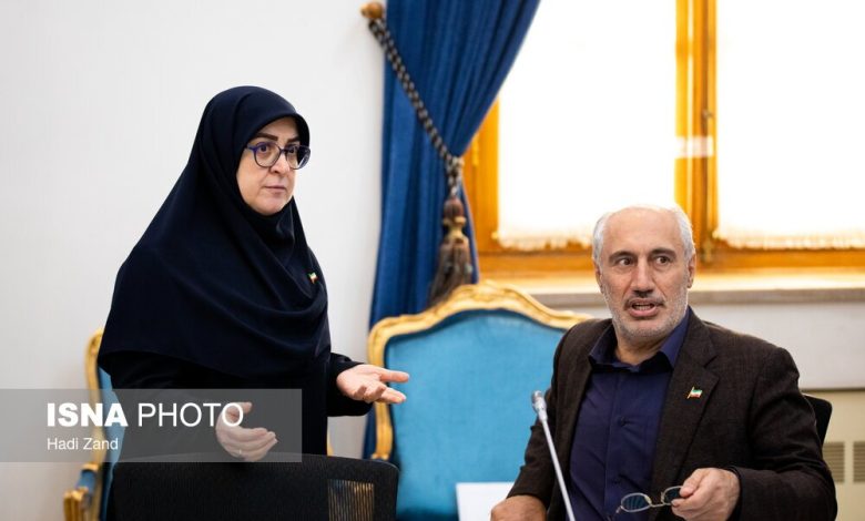 مهاجرانی و پورمحمدی نشست خبری مشترک برگزار میکنند / مهاجرانی , پورمحمدی , بودجه , هیئت دولت , سازمان برنامه و بودجه