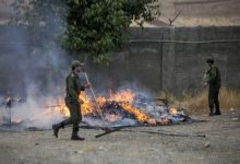 امحای 660 کیلوگرم انواع مواد مخدر در کرمانشاه / اخبار کرمانشاه - اخبار استانها