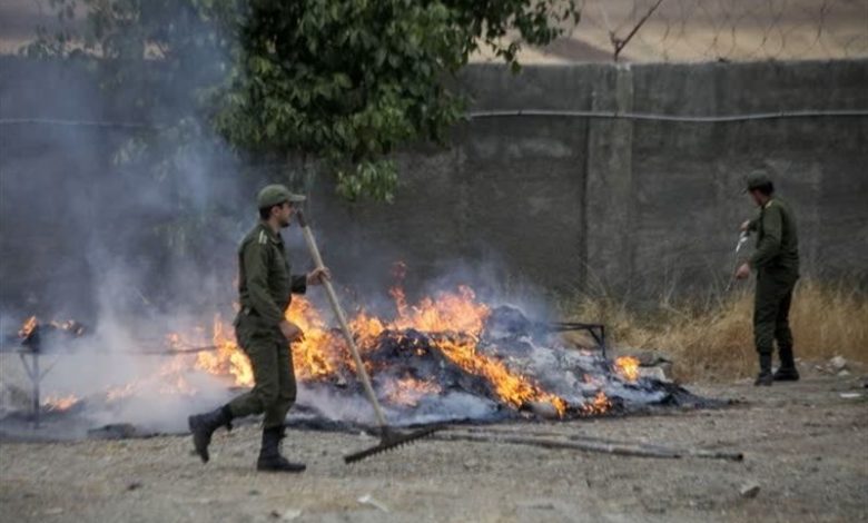 امحای 660 کیلوگرم انواع مواد مخدر در کرمانشاه / اخبار کرمانشاه - اخبار استانها