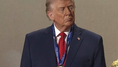 تلاش ترامپ برای حل بحران اوکراین تا کریسمس / اوکراین، ترامپ، بحران اوکراین، صلح، روسیه , , , ,