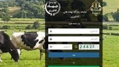 سامانه بازارگاه مرجع جدید تخصیص نهاده دامی به عشایر شد/ شفافیت و نظم در توزیع افزایش یافت / اخبار سمنان - اخبار استانها