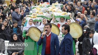 جشنواره شکرانه کیوی در تالش برگزار شد؛ فرصتی برای نمایش توانمندیهای کشاورزی گیلان / جشنواره کیوی , تالش , صادرات , کشاورزی گیلان , ارزآوری