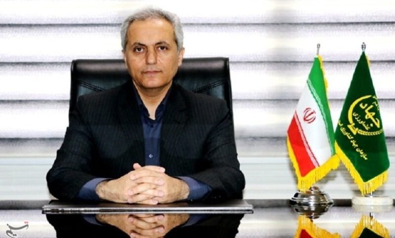 6.2 درصد سیب‌زمینی کشور در کردستان تولید می‌شود/ اخبار کردستان - اخبار استانها