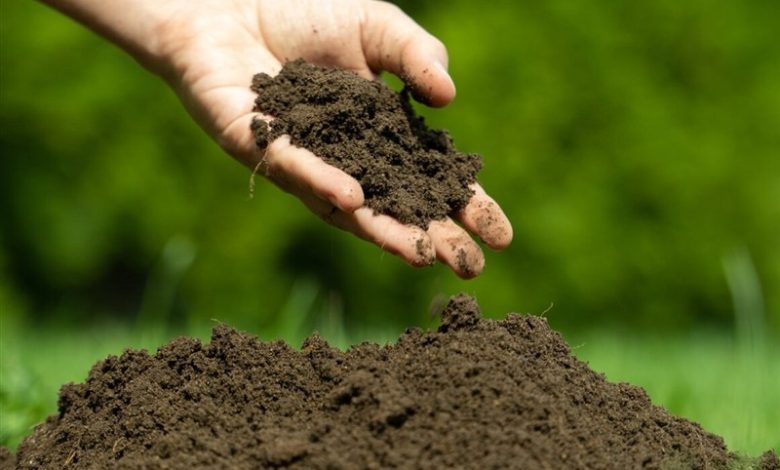 خاک سالم کلید تامین امنیت غذایی است؛ نباید به نقطه بیبازگشت برسیم / اخبار اصفهان - اخبار استانها