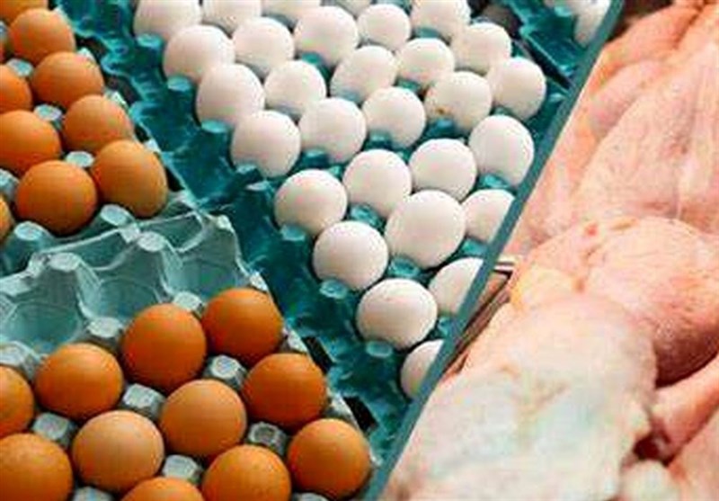 توزیع تخممرغ، گوشت وارداتی و برنج با قیمت مصوب در مشهد / اخبار خراسان رضوی - اخبار استانها