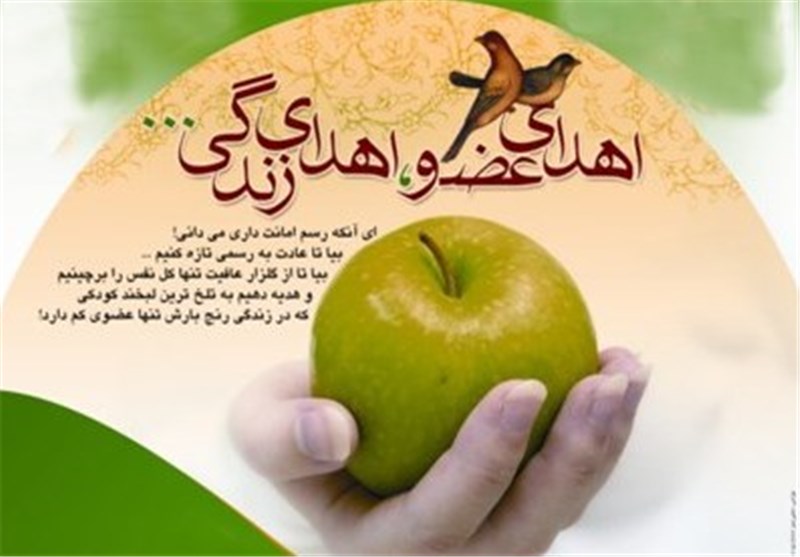 سی و دومین اهدای عضو سال جاری در یزد رقم خورد / اخبار یزد - اخبار استانها