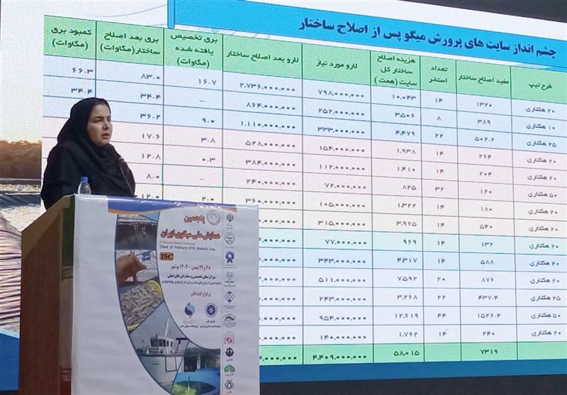 درآمد پرورش میگو به یک میلیارد دلار افزایش می‌یابد / اخبار بوشهر - اخبار استانها