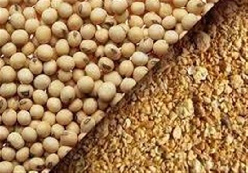 کشف بار غیرمجاز 22 میلیارد ریالی کنجاله سویا در گرگان / اخبار گلستان - اخبار استانها