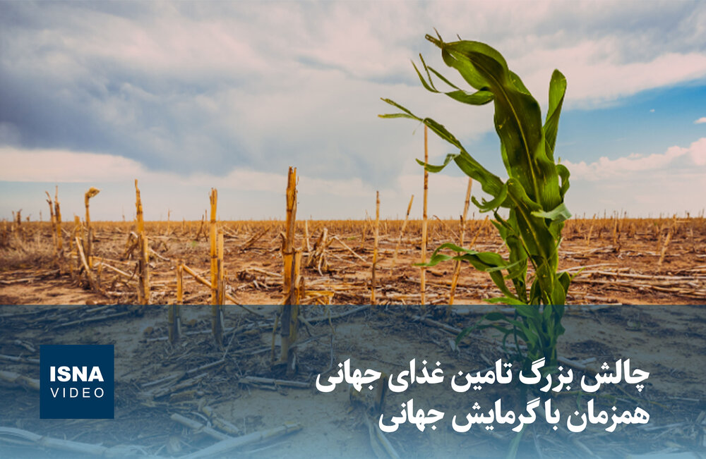 گرمایش جهانی؛ چالش بزرگ تأمین غذای جهان را تشدید می‌کند / گرمایش جهانی , تأمین غذا , امنیت غذایی , تغییر اقلیم , کشاورزی