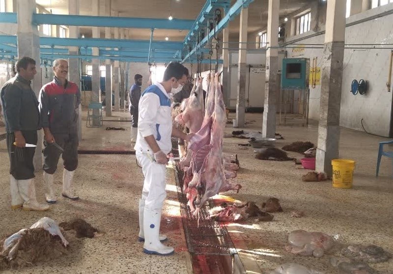 سرمایه‌گذاری 250 میلیارد تومانی کشتارگاه صنعتی بوشهر / اخبار بوشهر - اخبار استانها