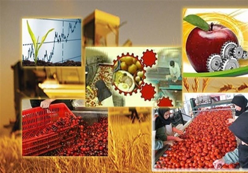 فعالیت 253 واحد صنایع تبدیلی کشاورزی در هرمزگان / اخبار هرمزگان - اخبار استانها