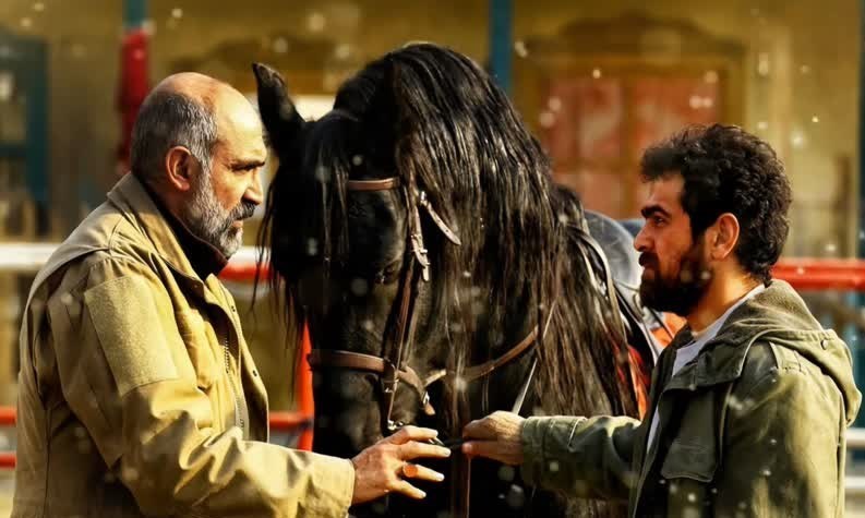 اکران 31 اثر در چهل و چهارمین جشنواره فیلم فجر در ساری / اخبار مازندران - اخبار استانها
