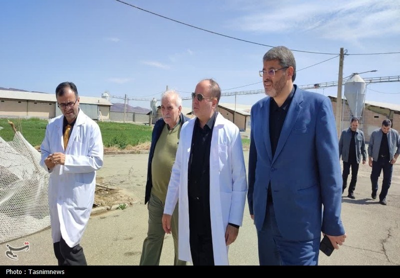 تأکید وزیر جهاد کشاورزی بر رفع موانع تولید در بازدید از مرغداری ری / اخبار استان تهران - اخبار استانها