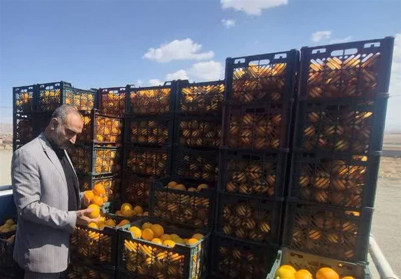 نظارت کامل بر زنجیره تأمین تا توزیع میوه شب عید در خراسان جنوبی / اخبار خراسان جنوبی - اخبار استانها