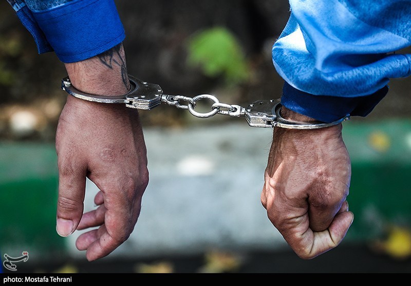 دستگیری سارقان و کشف مواد مخدر و سوخت قاچاق در خراسان جنوبی / اخبار خراسان جنوبی - اخبار استانها