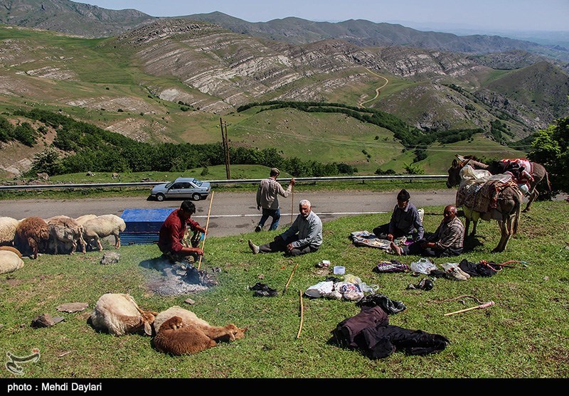 جشنواره کوچ عشایر استانی برگزار می شود / اخبار اردبیل - اخبار استانها