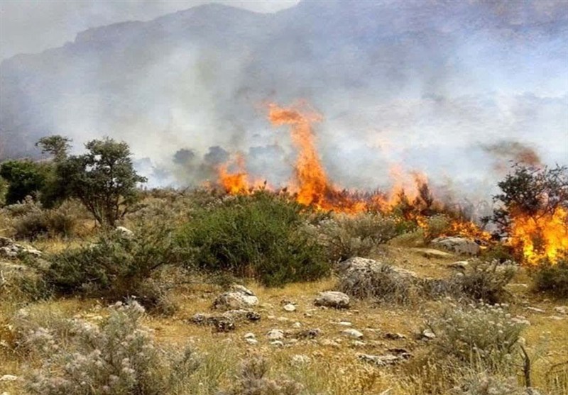 هشدار آتشسوزی در جنگلها و مراتع مازندران / اخبار مازندران - اخبار استانها