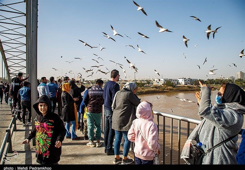 اهواز؛ شهری بر روی پلها، از تقاطع ترافیک تا تلاقی هنر و نور / اخبار خوزستان - اخبار استانها