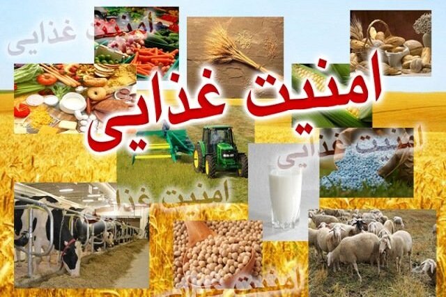 تأکید بر ضرورت خودکفایی پایدار در امنیت غذایی کشور / امنیت غذایی , خودکفایی , کشاورزی , بهره‌وری , محصولات راهبردی