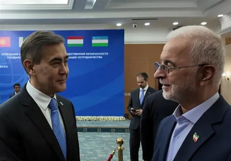 ببینید| سازمان همکاری‌های شانگهای، بازیگر موثر در تحولات جهانی / اخبار سیاسی روز , اخبار سیاست خارجی