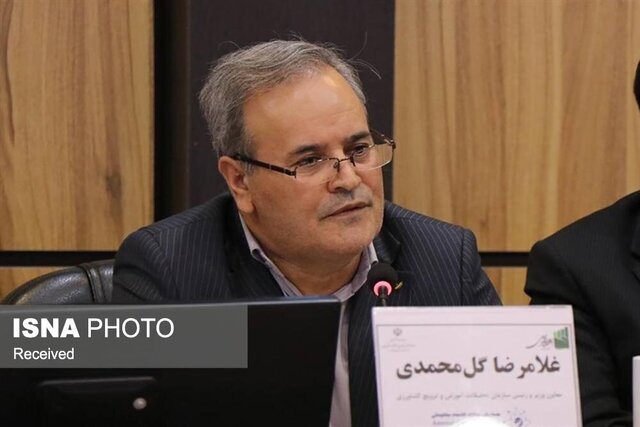وابستگی ۹۸ درصدی ایران به بذر هیبرید/ رونمایی از ۴۰ رقم جدید بذر / بذر هیبرید , کشاورزی , محصولات دانش‌بنیان , امنیت غذایی , تات