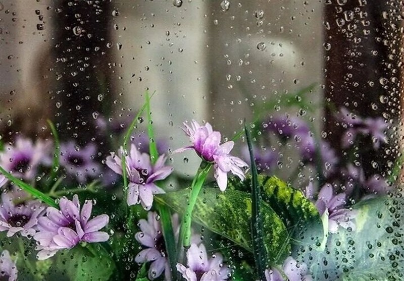 صدور هشدار زرد هواشناسی در زنجان / اخبار زنجان - اخبار استانها