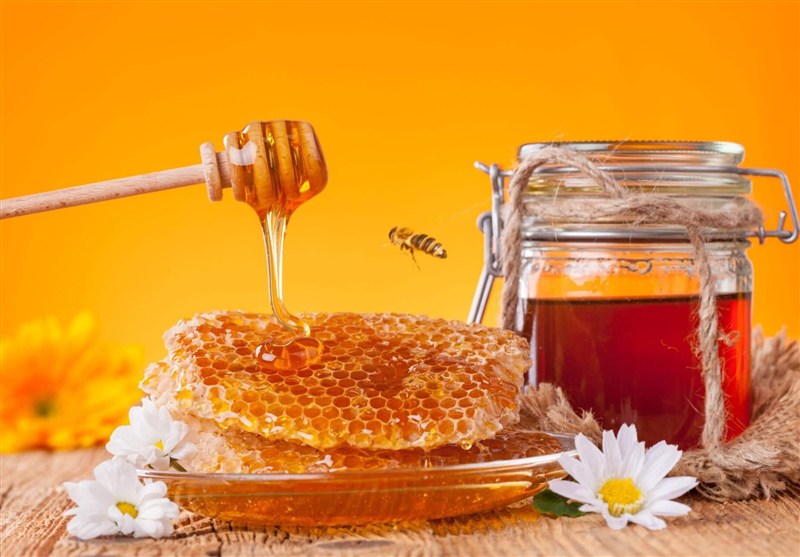 عسل زرشک و عناب خراسان جنوبی شناسنامه‌دار می‌شود / اخبار خراسان جنوبی - اخبار استانها
