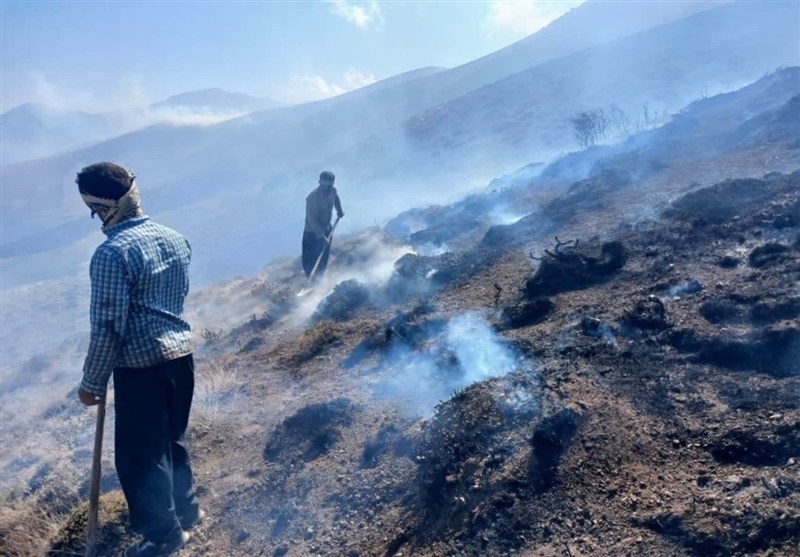 آتش گردشگران به جان 2 هکتار از مراتع و جنگل‌های شاهرود / اخبار سمنان - اخبار استانها